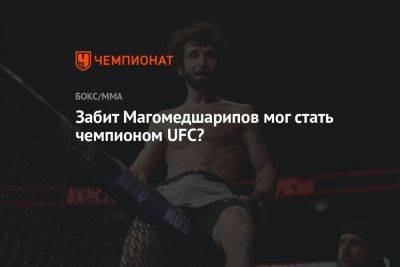 Забит Магомедшарипов мог стать чемпионом UFC?