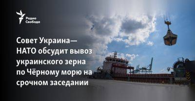 Совет Украина—НАТО обсудит вывоз украинского зерна по Чёрному морю на срочном заседании