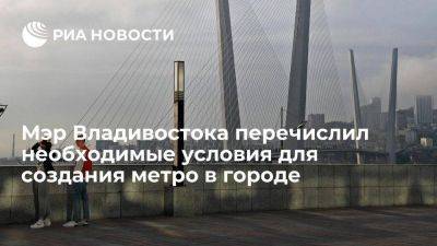 Мэр Владивостока Шестаков: легкое метро не создать без одобрения плана города Путиным