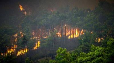В Греции бушуют масштабные лесные пожары, эвакуировано 19 тысяч человек