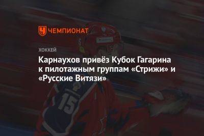 Карнаухов привёз Кубок Гагарина к пилотажным группам «Стрижи» и «Русские Витязи»