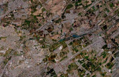 Передача земли под строительство "нового Ташкента" уничтожит "восточные зеленые легкие" столицы – эксперт