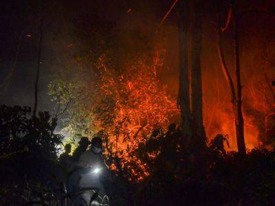 В Индонезии растет риск лесных пожаров: сухая погода пришла раньше ожидаемого