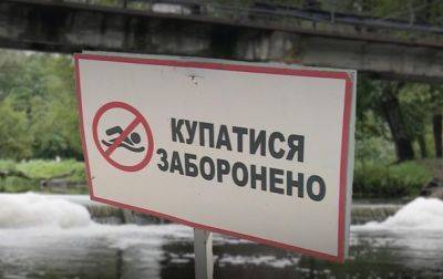 В реке в Черниговской области запретили купаться из-за мора рыбы
