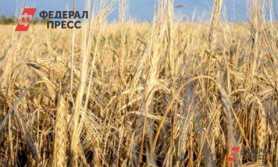 Елен Майоров - Тюменская область за полгода увеличила экспорт зерна в 24 раза - smartmoney.one - Тюмень - Тюменская обл.