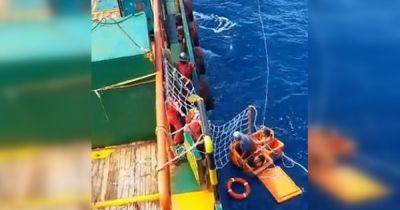 Спасли оранжевые ящики для льда: рыбаки 4 дня провели в море после крушения лодки (фото)