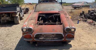 Ничейные раритеты: обнаружена заброшенная коллекция старинных Chevrolet Corvette (видео)