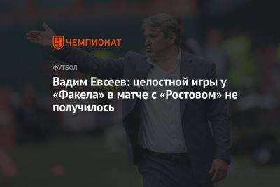 Вадим Евсеев: целостной игры у «Факела» в матче с «Ростовом» не получилось