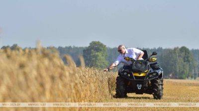 Оправдалась ли ставка Лукашенко на сельское хозяйство? Рассказываем в цифрах