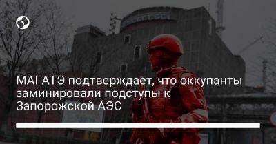 МАГАТЭ подтверждает, что оккупанты заминировали подступы к Запорожской АЭС