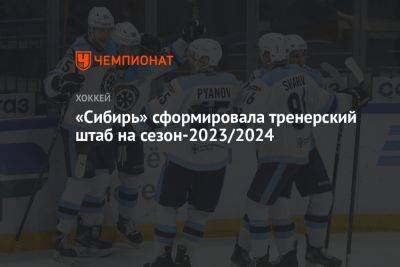 «Сибирь» сформировала тренерский штаб на сезон-2023/2024