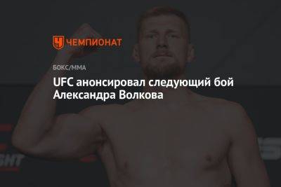 Александр Волков - Александр Романов - UFC анонсировал следующий бой Александра Волкова - championat.com - Россия - Австралия - Молдавия