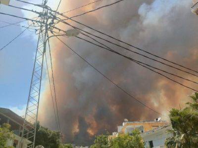 Лесные пожары в Алжире унесли жизни 34 человек: среди погибших 10 солдат
