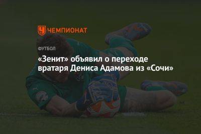 «Зенит» объявил о переходе вратаря Дениса Адамова из «Сочи»