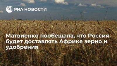 Матвиенко: Россия будет доставлять Африке зерно бесплатно и на коммерческой основе
