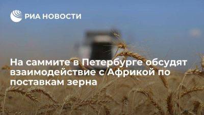 Матвиенко: на саммите в Петербурге обсудят взаимодействие с Африкой по поставкам зерна