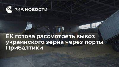 Владимир Путин - Представитель ЕК заявил о готовности рассмотреть вывоз украинского зерна через Прибалтику - smartmoney.one - Россия - Украина - Турция - Польша - Литва - Брюссель - Прибалтика