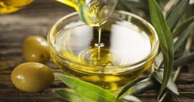 Оливковое масло снижает риск деменции на 33%: результаты исследований