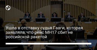 Ушла в отставку судья Гааги, которая заявляла, что рейс MH17 сбит не российской ракетой