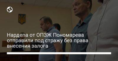 Нардепа от ОПЗЖ Пономарева отправили под стражу без права внесения залога