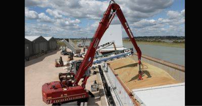 Германия и Франция просят отменить ограничения на экспорт украинского зерна в страны Восточной Европы