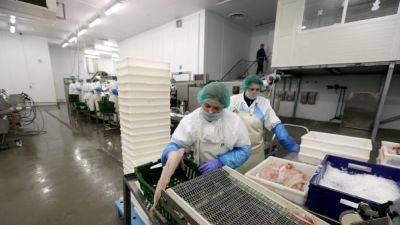 Россия вводит запрет на рыбную продукцию "недружественных" стран