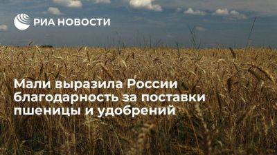 Депутат Тункара: Мали благодарна России за своевременные поставки пшеницы и удобрений