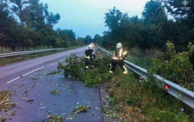 В Тернопольской и Хмельницкой областях непогода нанесла значительный ущерб