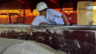 Зеленский: продление ограничений на экспорт украинского зерна "неприемлемо"