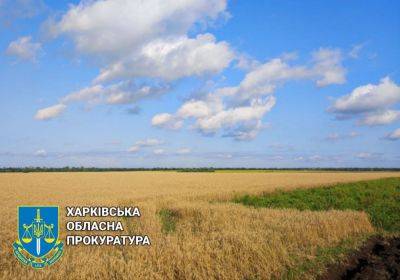 На Харьковщине незаконно отдали ценные земли стоимостью более 2 млрд грн