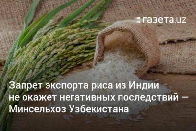 Запрет экспорта риса из Индии не окажет негативных последствий — Минсельхоз Узбекистана