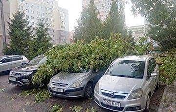 Отключения электричества, упавшие деревья и разрушенная дорога: по Беларуси пронесся грозовой фронт