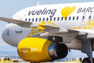 Самолет Vueling вернулся в «Бен-Гурион» из-за столкновения с птицей