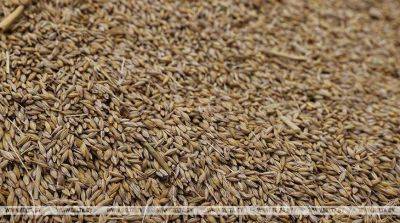 Минсельхозпрод: в этом году мы заготовим необходимые объемы фуражного зерна и семенного материала