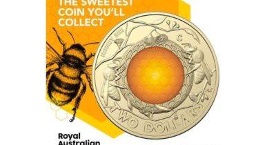 Жужжит история: ученые объяснили, почему пчелы украшают монеты с древности до сих пор (фото) - focus.ua - Украина - Англия - Австралия - Мальта - Македония