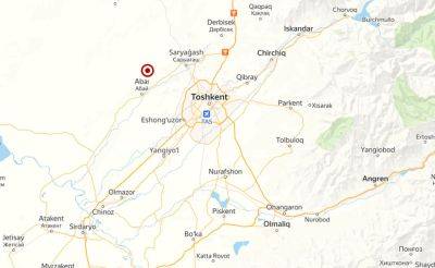 Всего в 27 км от Ташкента произошло землетрясение. Сила подземных толчков в столице достигла трех баллов