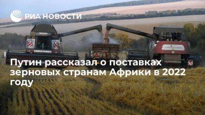 Путин: Россия поставила 11,5 миллиона тонн зерновых в страны Африки в 2022 году