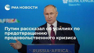 Путин: Россия прикладывает максимум усилий для предотвращения продовольственного кризиса