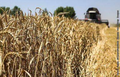Путин заявил о готовности бесплатно поставить нескольким странам Африки по 25-50 тыс. т зерна