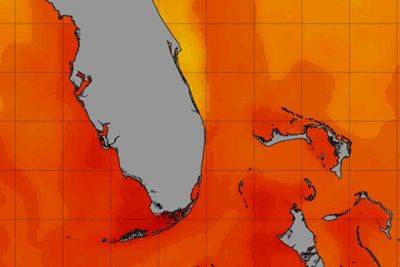 Климатический кризис уже в 2025 году: +38°C у побережья США, таянье льдов, остановка течений в Атлантике