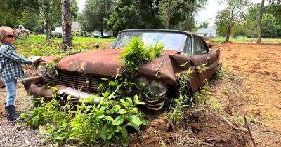 В поле нашли заброшенным редкий американский автомобиль: он 40 лет стоял на месте (видео)