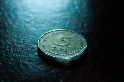 Житель Ашдода организовал фирму по чеканке фальшивых монет