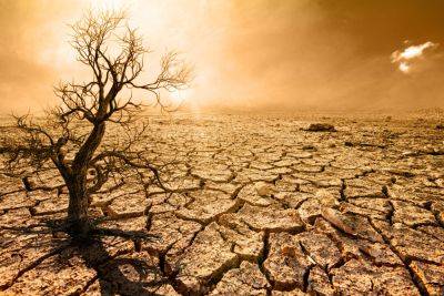 Генсек ООН: началась эра глобального кипения, самый жаркий июль за 120 тысяч лет
