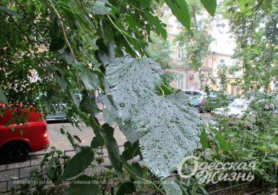 Погода в Одессе и Одесской области: дожди и сильный ветер