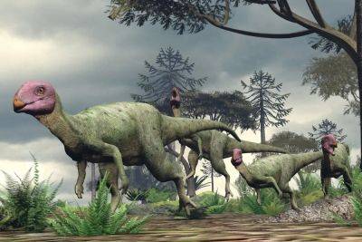 В Таиланде открыли новый вид мини-динозавра, жившего в Юрский период - фото
