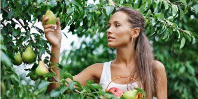 Дешево и эффективно. ТОП-5 овощей и фруктов, которые помогут вам похудеть этим летом