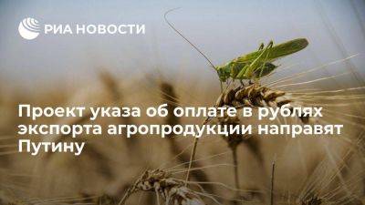 Абрамченко: проект указа об оплате в рублях экспорта агропродукции скоро направят Путину
