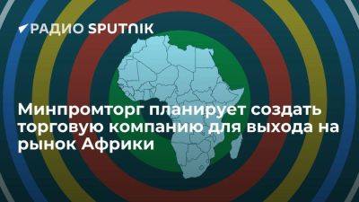 Минпромторг РФ планирует создать единую торговую компанию для выхода на рынок Африки