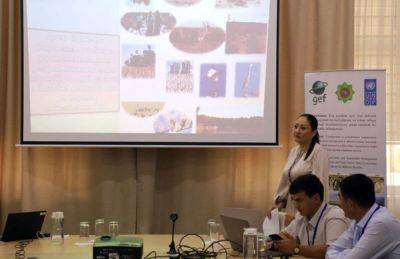 В рамках проекта за $4,6 млн специалистов в Туркменистане учат восстанавливать земли