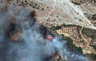 Лесные пожары в Греции через две недели после начала утихли